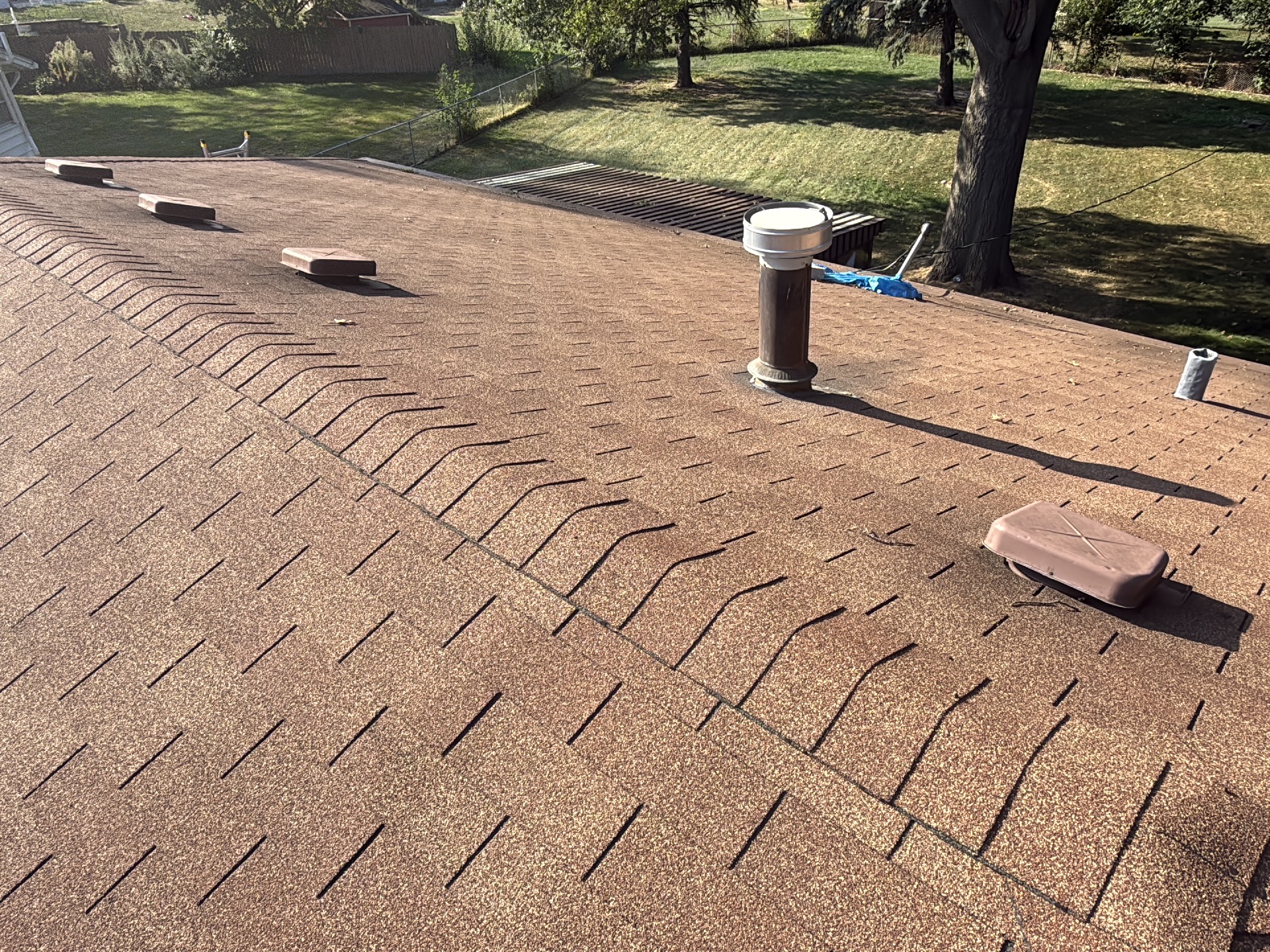 Professional home inspection of an asphalt shingle roof